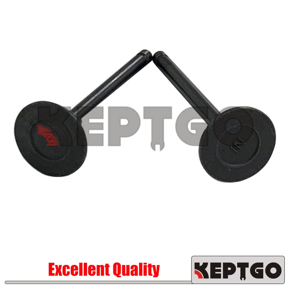 Z482 Intake Valve For Kubota