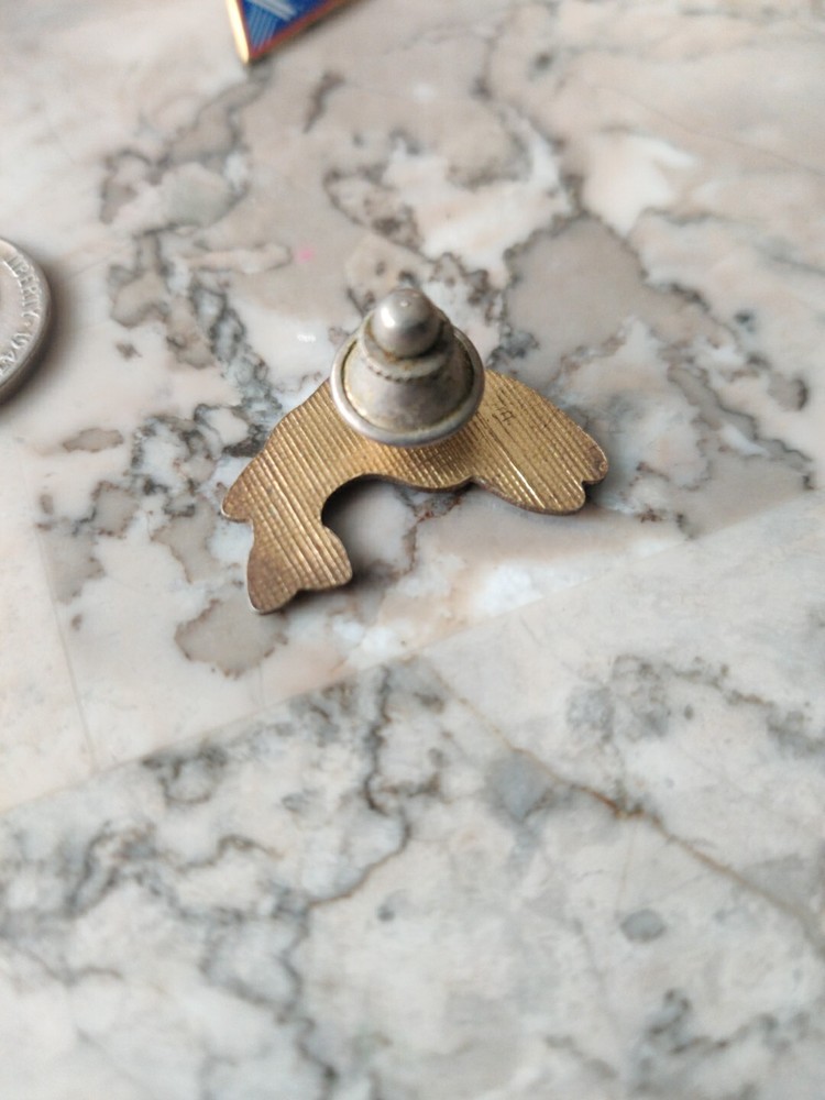 fish lapel pin