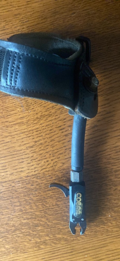 Bear Apprentice 2 Compound Bow