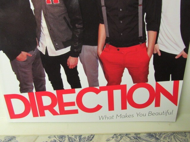 2012 One Direction: What Makes You Beautiful Book