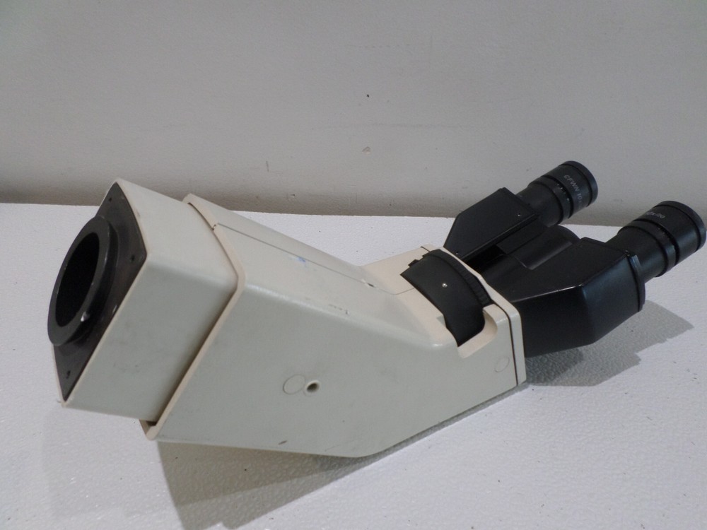 Nikon CFWN 10x/20 Microscope Eyepieces w/ Microscope Arm