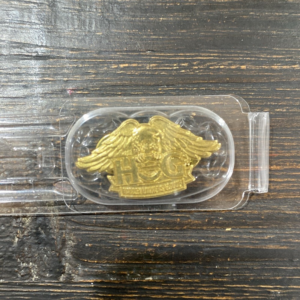 NEW Harley Davidson Owners Group Member Embroidered Eagle Patch & Gold Pin