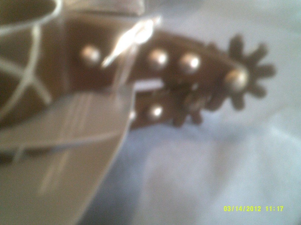 Spurs, Fish overlay Pattern Ladies Show Style 2" Shank