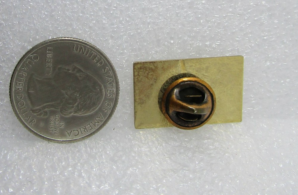 Securing America Pin