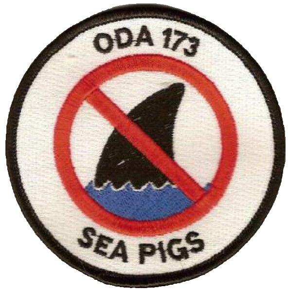 US Army Oda 173 Operational Detachment Alpha Special Forces Patch