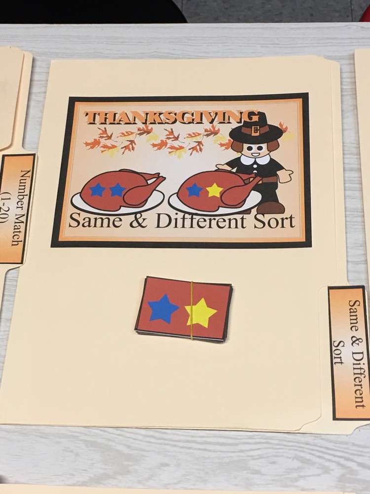 Thanksgiving - 10 File Folder Set - Activity Set - Teaching - DIY PRINTED