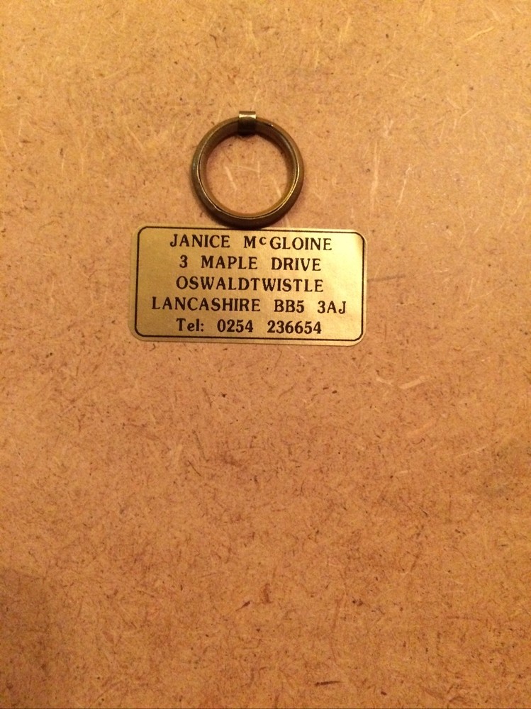 Janice mcGloine Original Pastel Drawing