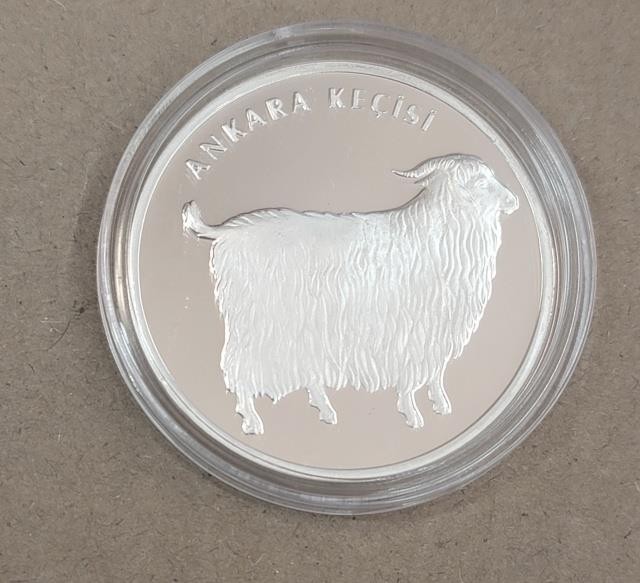 Angora Goat 2005 Turkey Ag