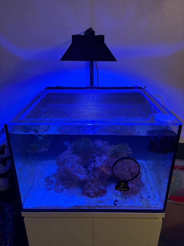 Custom Solid Polycarbonate Clear Aquarium Lid