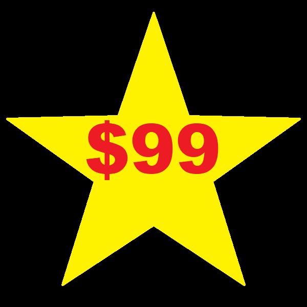 destructively.com English Word, 16 YO Aged Dot Com Domain $99