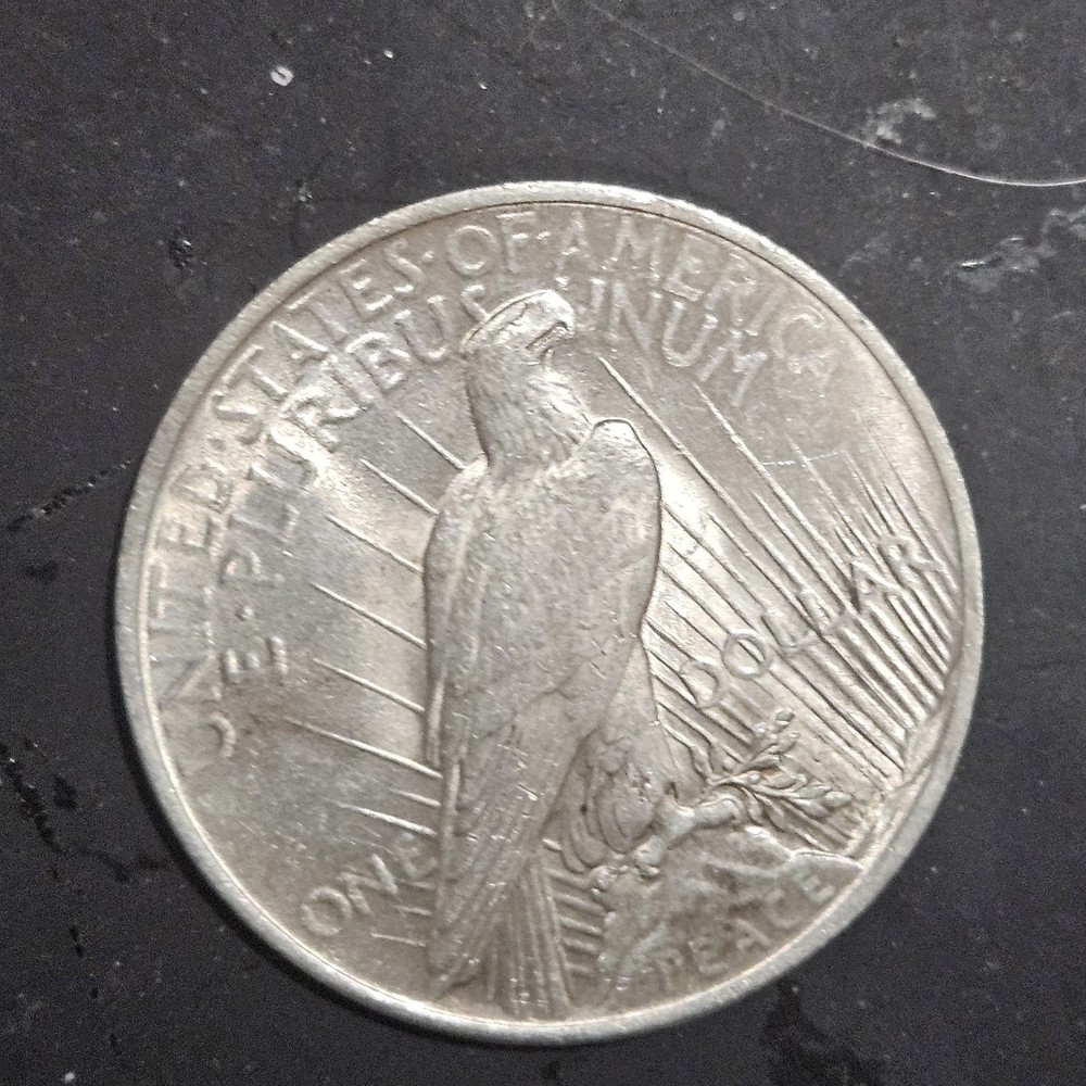 1923 Peace Silver Dollar $1 90% Silver Excellent Condition Nice Coin