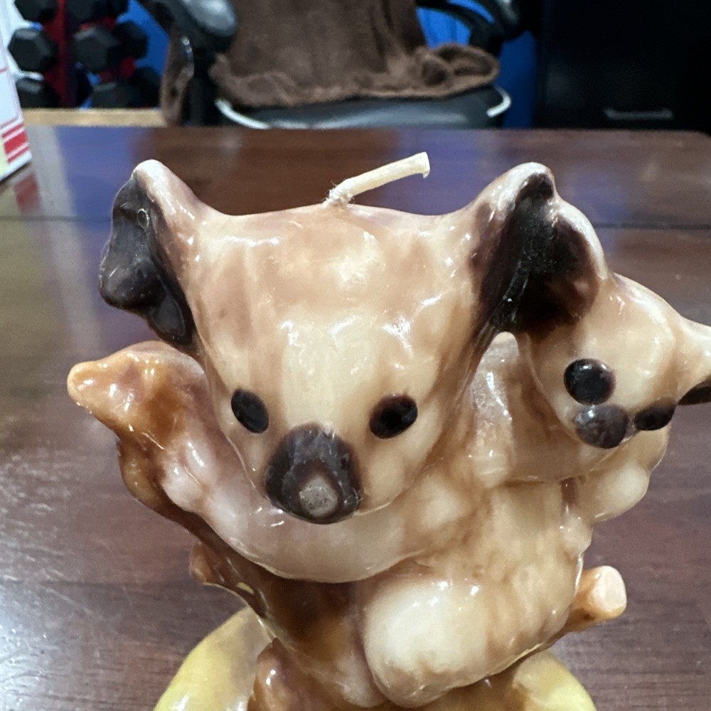 Vintage Koala Bear 6" Wax Candle