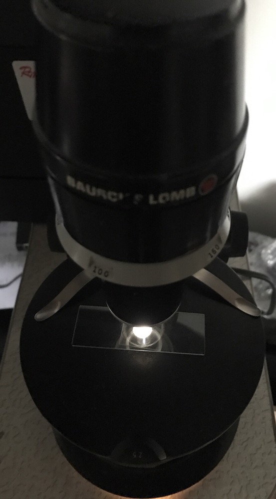 bausch & lomb microscope