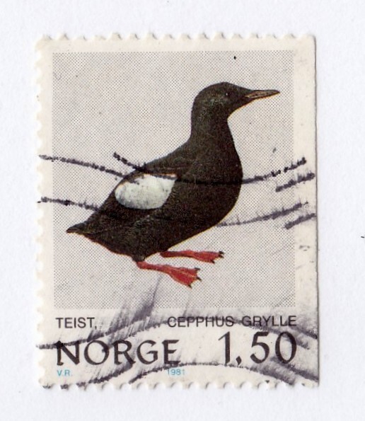 Norway       777          used