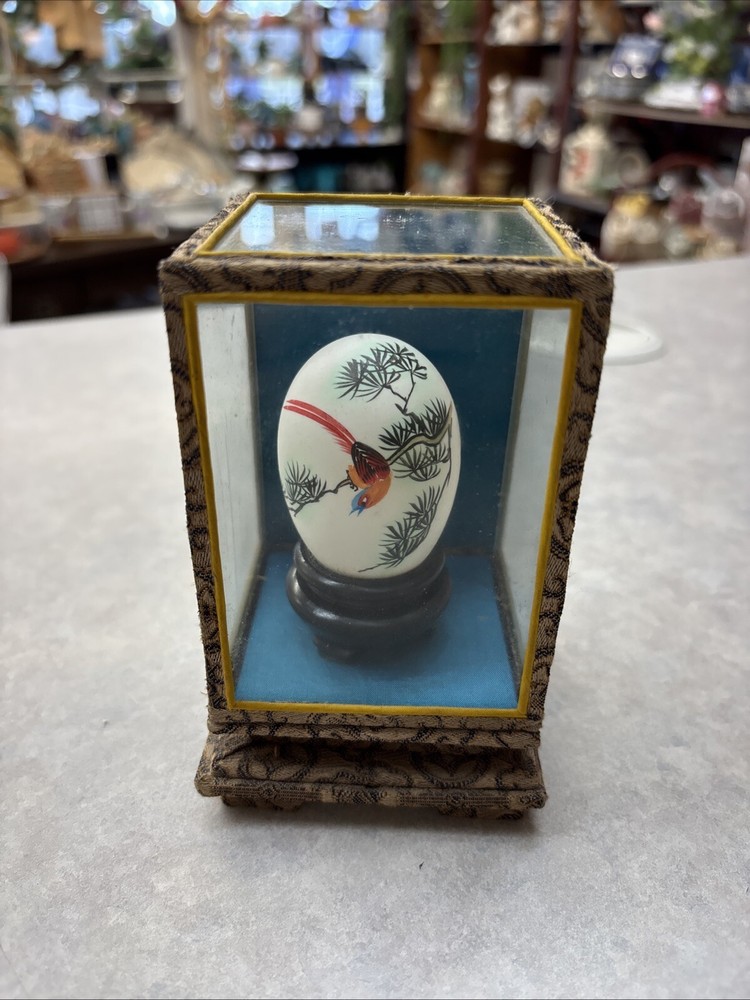 Egg In Case Asian