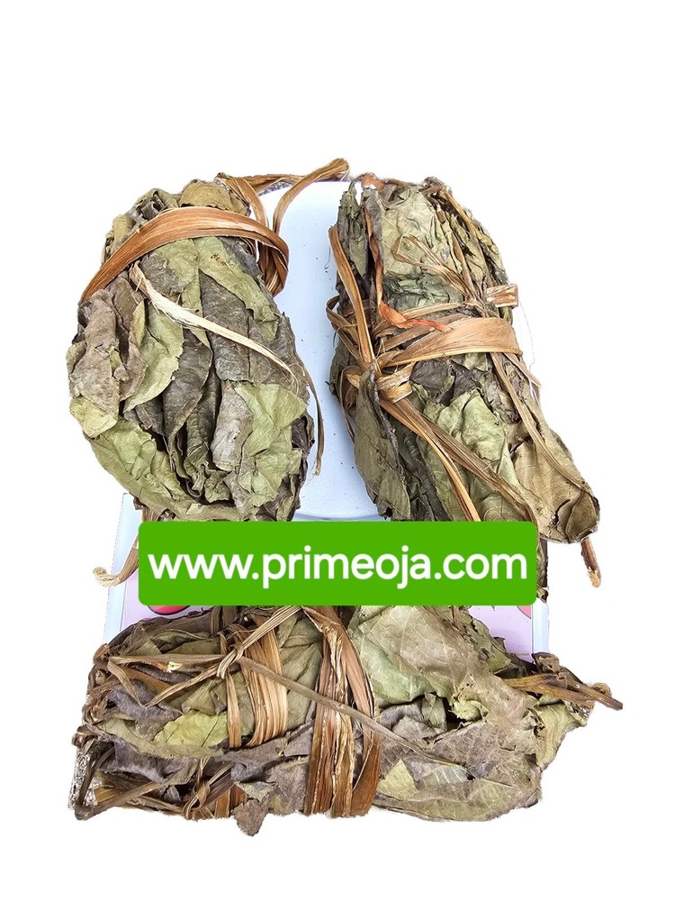 2X EWE ANU/ MERCY LEAF SPIRITUAL LEAF