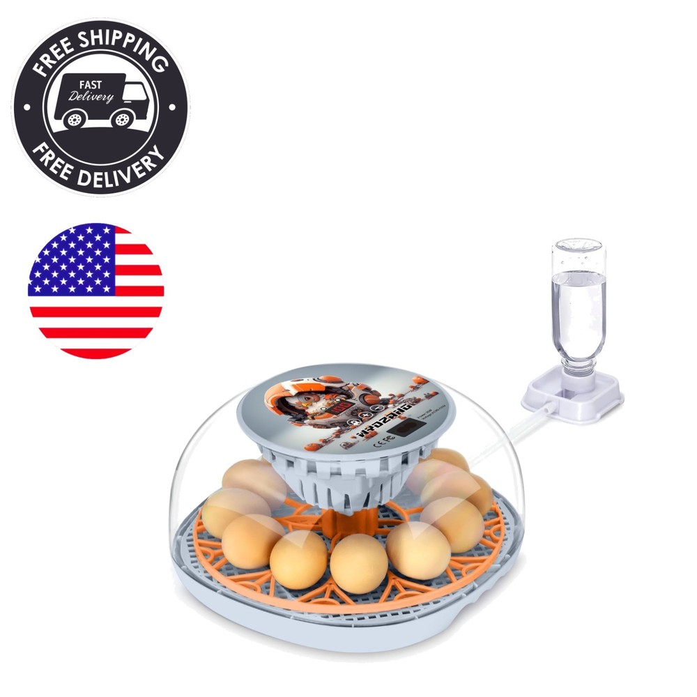 Compact 12-Egg Smart Incubator with Automatic Turner & Temperature Control
