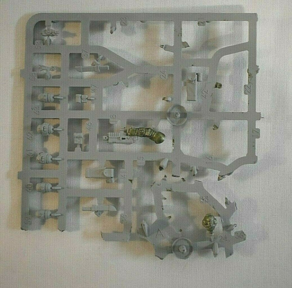 Warhammer 40K Primaris Intercessor Squad Bits On Sprue