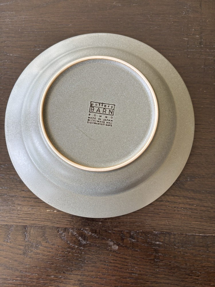 Pottery Barn Bongo Green Rimmed Soup Bowl