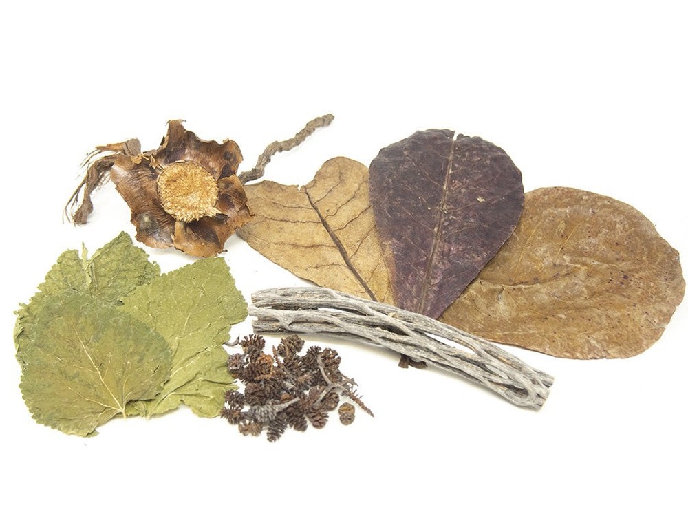 Aquatic Arts Botanical Combo Pack