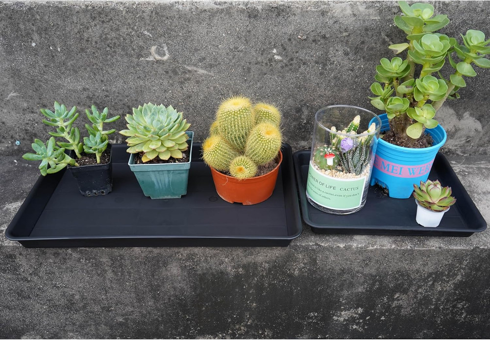 Plant Saucer Growing Tray, Seed Starter Tray Rectangular, Heavy Sturdy Plastic P