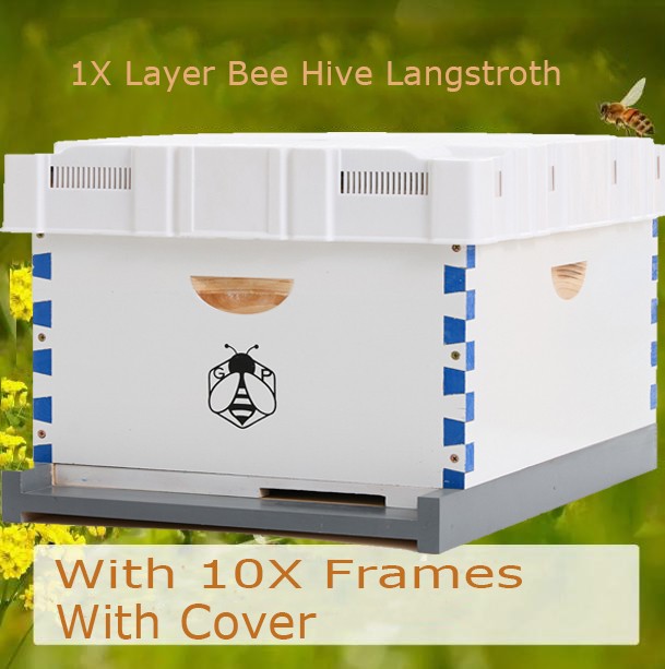 Langstroth Beehive Kit 10 Frame Box brood House +10 Deep Frames Comb Beekeeping