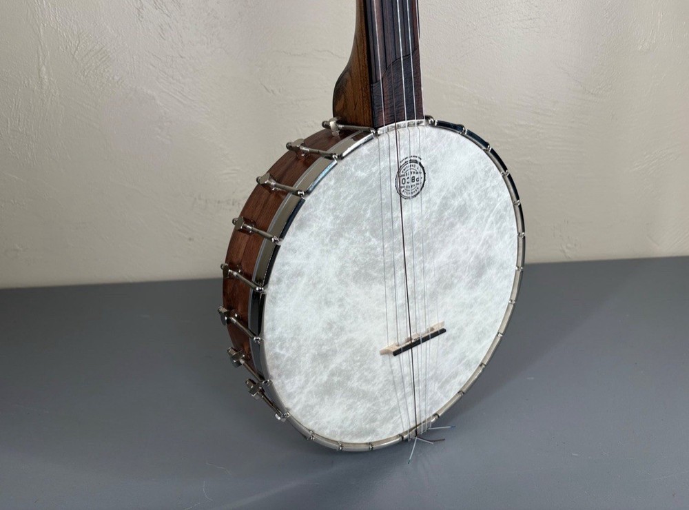 5-String Open-Back Banjo with Case in Excellent Condition, Nylon Strings