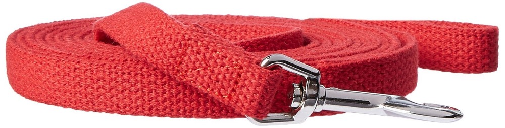 Leather Brothers Web Lead for Pets 10' Red