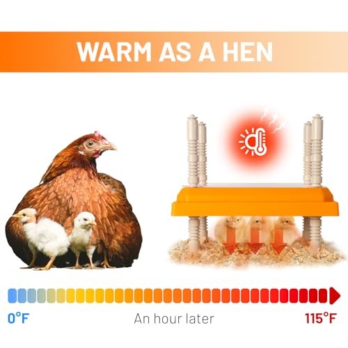 Brooder Heater for Chicks, 10" x 10" for 15 Chicks Heating Plate with 1Pack