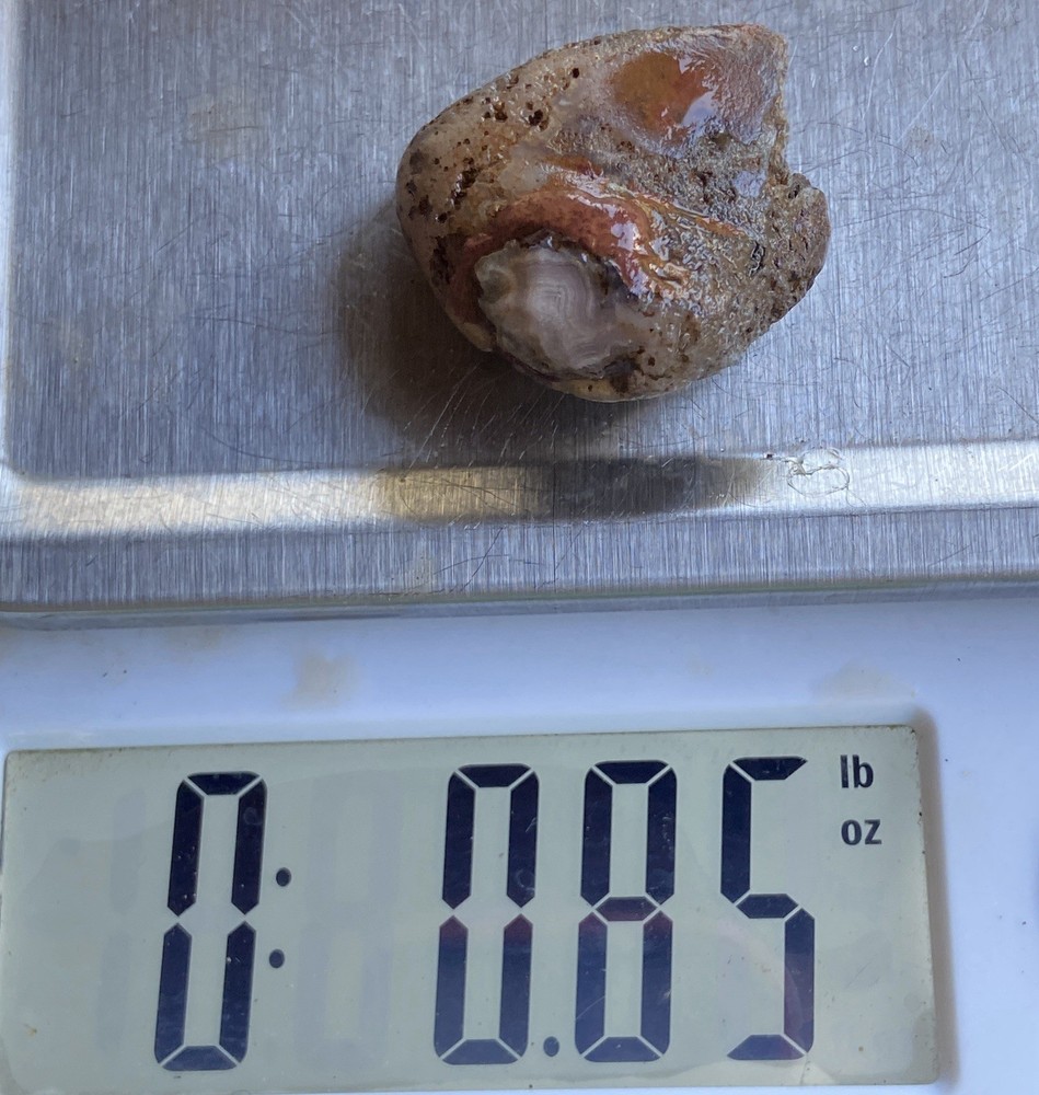 Lake Superior Agate Rough 0.85 Oz