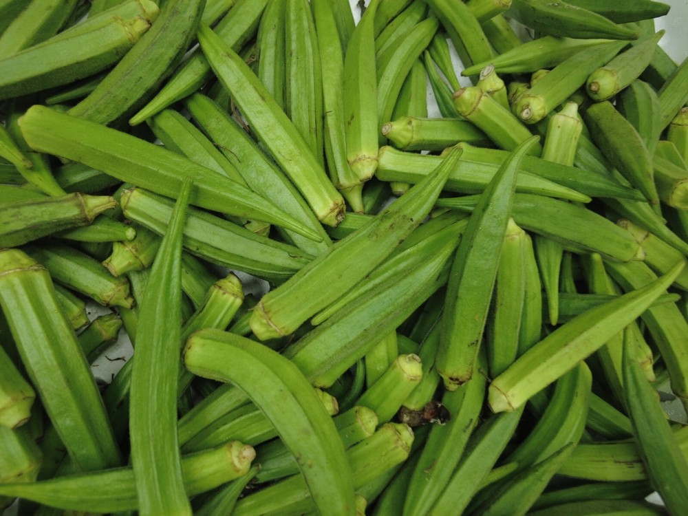 Fresh Okra 1 to 5 lbs