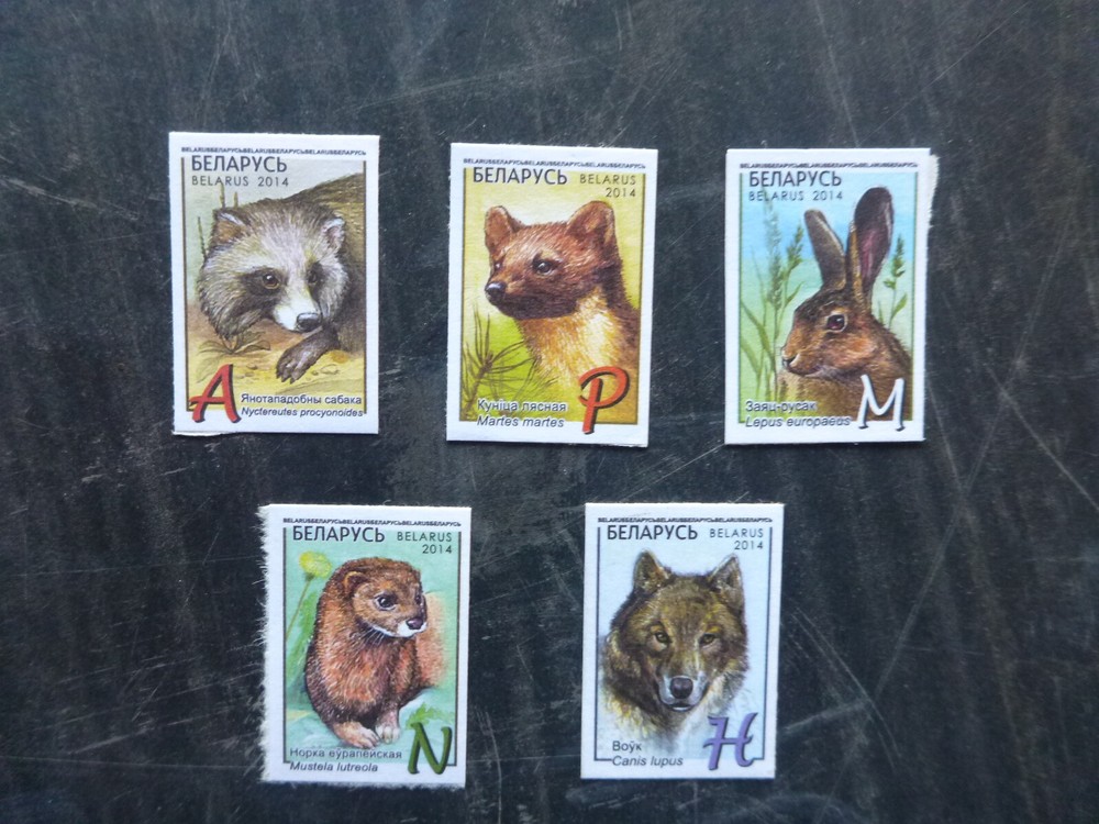 2014 BELARUS WILD ANIMALS SET 5 MINT STAMPS M.N.H.