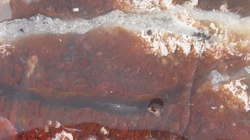 red Plume Agate Lapidary Slab T1075