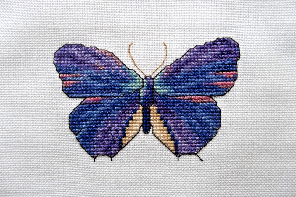 COMPLETED FINISHED CROSS STITCH:  BUTTERFLY