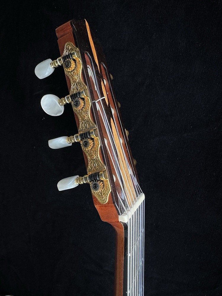 Hippner 8-String Classical Guitar – Engelmann Spruce & Brazilian