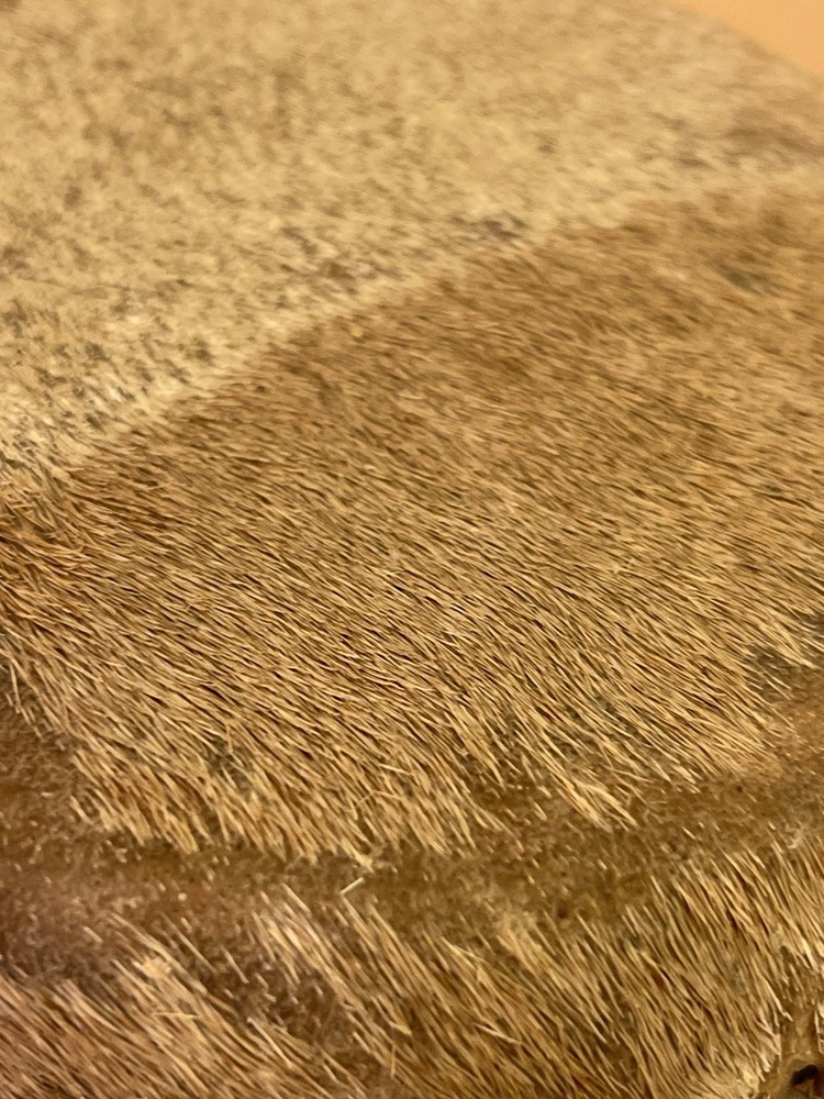 A small vintage hand drum