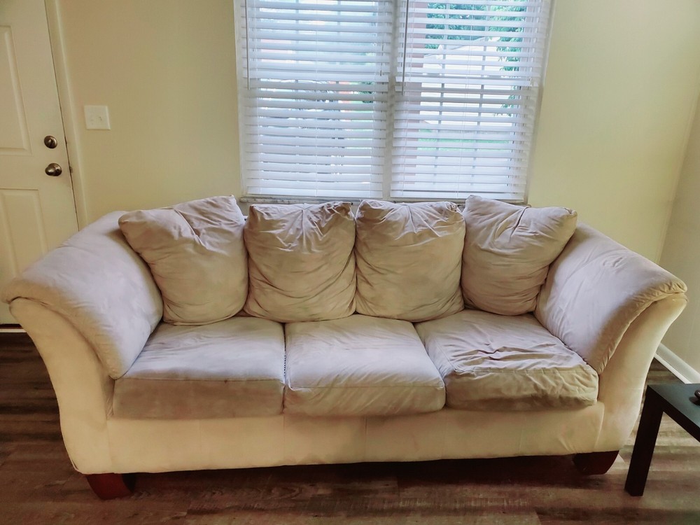 2 Piece Sofa Set (Sleeper Sofa & Loveseat Sofa)