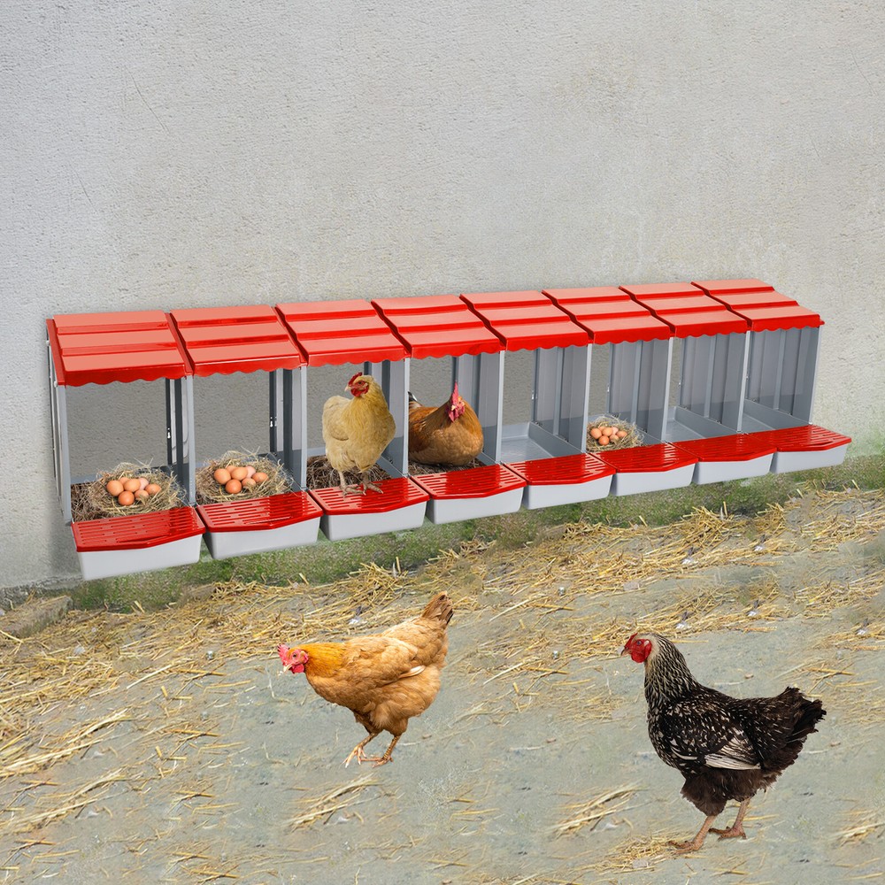 Modern 8-Compartment Chicken Nesting Boxes for Comfortable Egg Laying