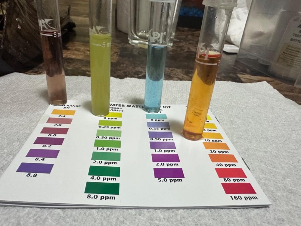 POND MASTER TEST KIT Pond Water Test Kit 500-Test