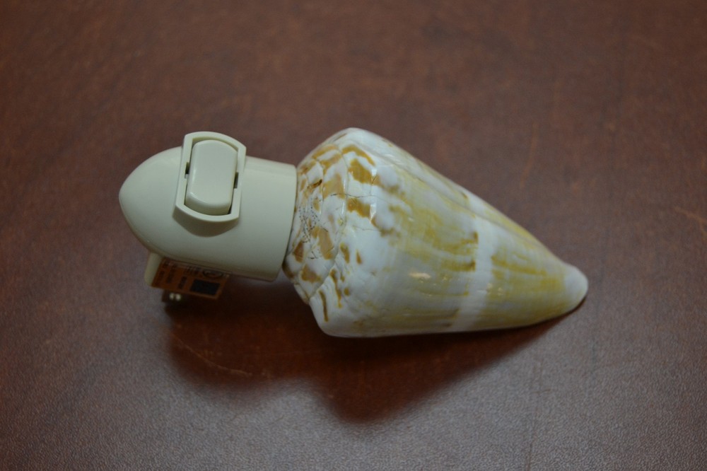 OLIVE GREEN CONE SEA SHELL NIGHT LIGHT BATHROOM KITCHEN #7255