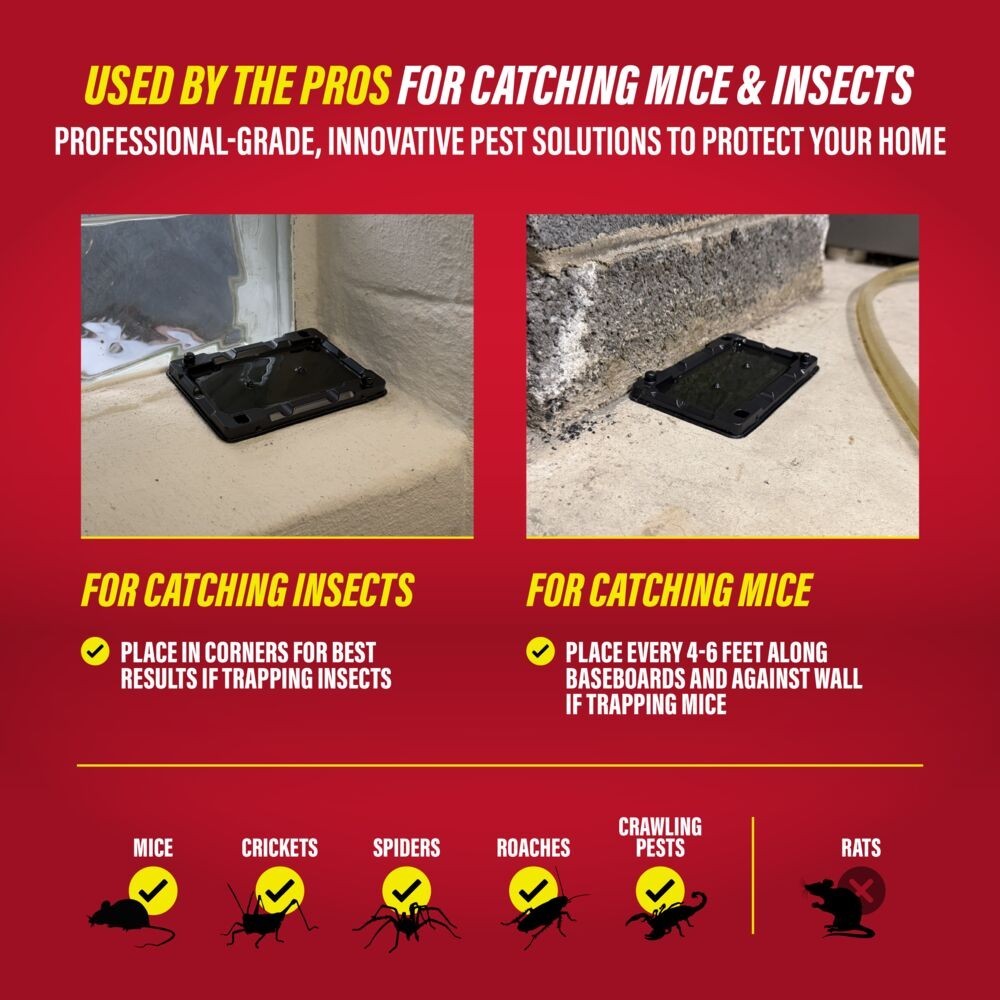 Catchmaster Mouse & Insect Glue Traps
