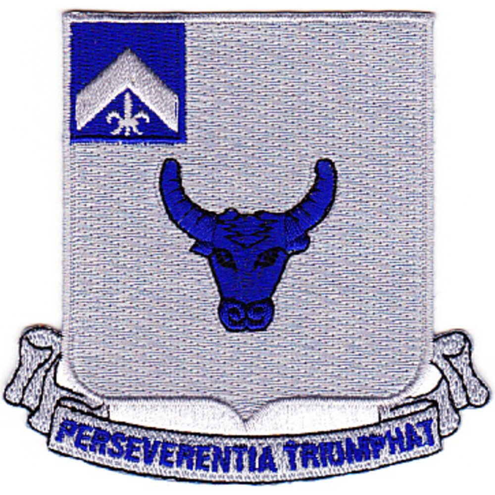 224th Infantry Regiment Patch