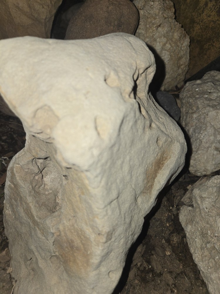 Dinosaur Bone From Utah