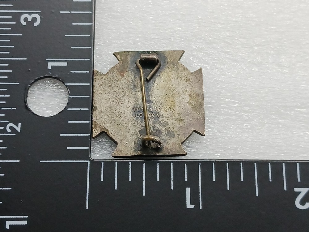 Student Nurses Association Pin