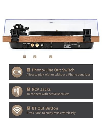 Turntable Vinyl Record Player Support Bluetooth Output Phono/Line Switch Brown