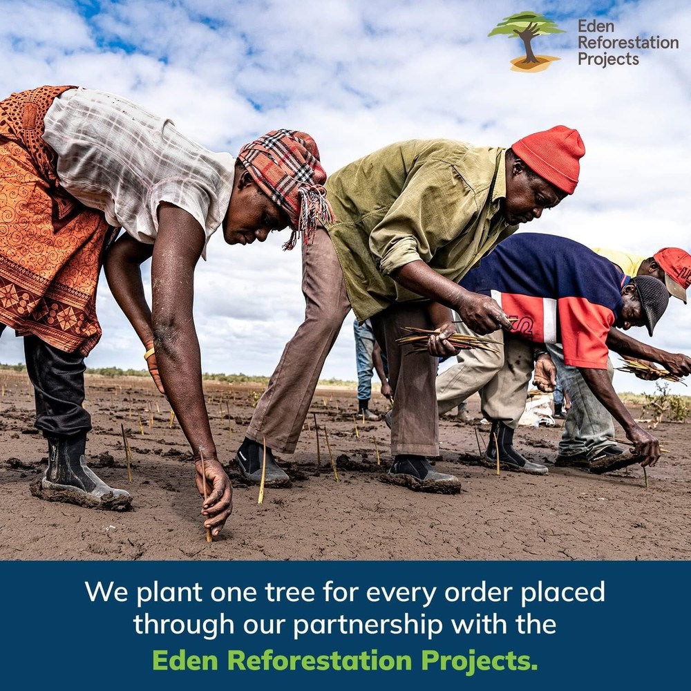 Effortless 3-Stage Cobweb Duster with Telescoping Pole – Hand-Packaged Quality