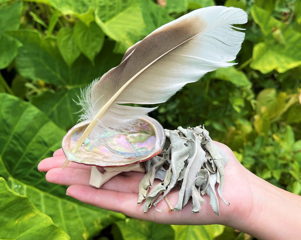 Mini Smudge Kit: White Sage Leaves, Abalone Shell, Smudging Feather & Stand