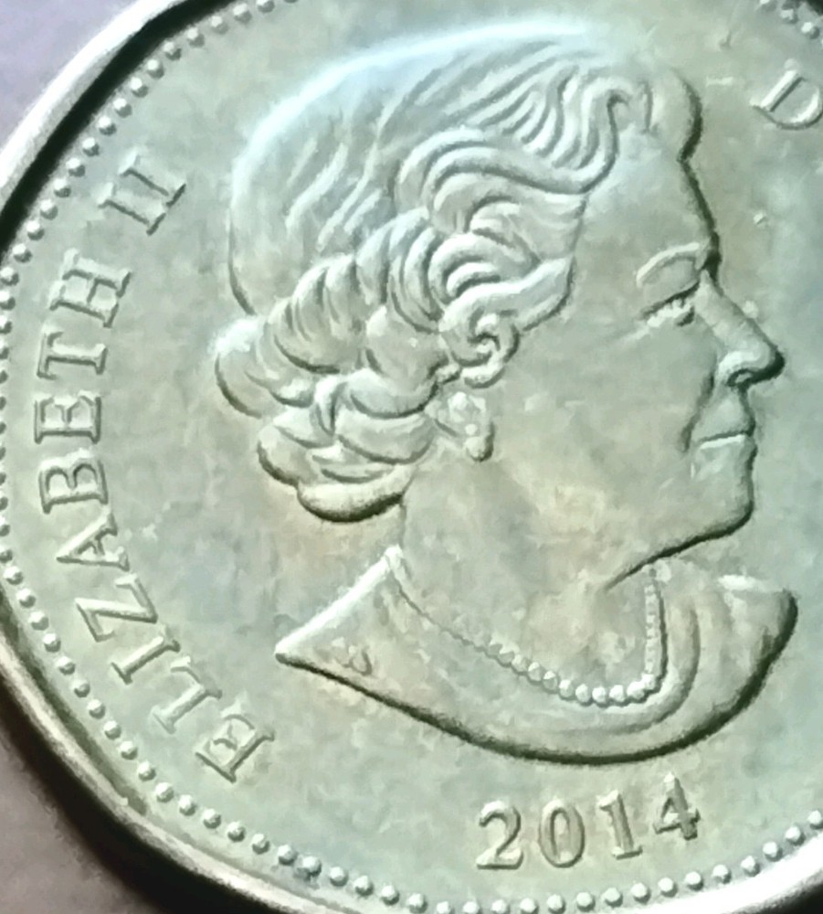 2014 Canada Loonie One Dollar Coin