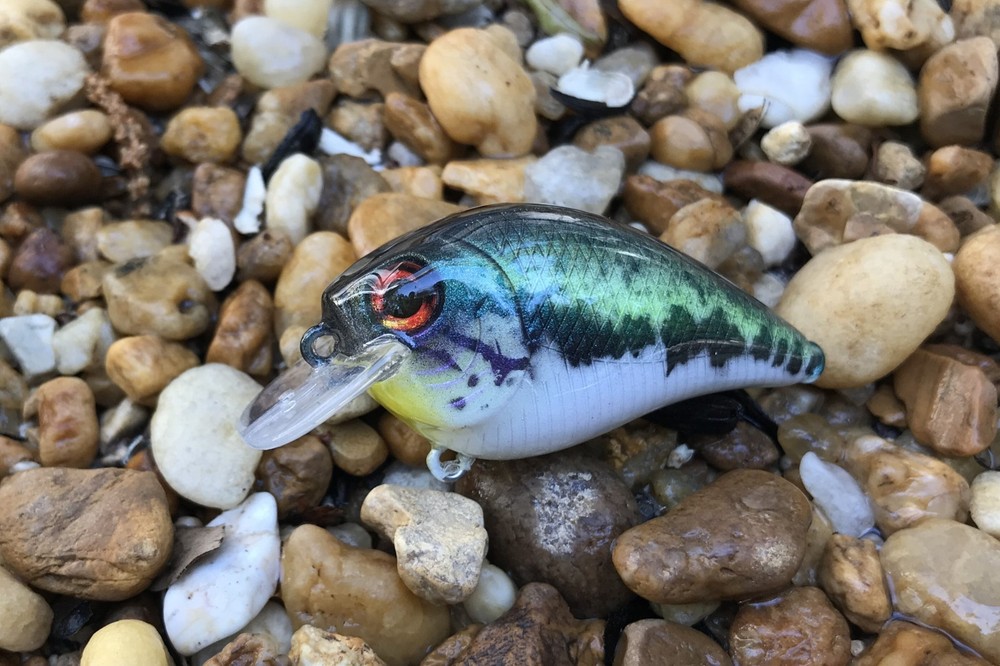 SPEEDBAITS Custom Airbrushed  Crankbait
