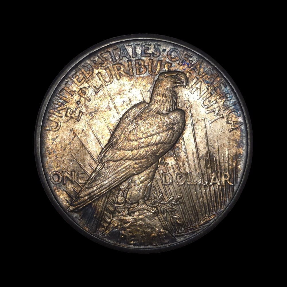 1921 Peace Dollar $1 fantastically Toned GEM Extremely Sharp Strike